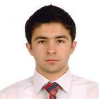 Davut D. Çelik