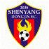 Shenyang Dongjin