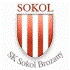 Sokol Brozany