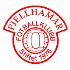 Fjellhamar