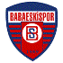 Babaeskispor