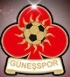 Ankara Güneşspor