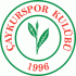 Çaykurspor