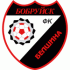 FC Bobruisk