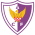 Centro Atletico Fenix