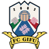 FC Gifu II