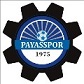 Payasspor