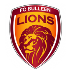 Bulleen Lions