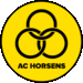 Horsens U17