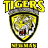 Azam Tigers