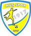 Muşspor 1917