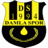 Damlaspor