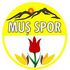 Muş Idmanyurduspor U19