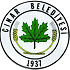 Çınar Belediyespor