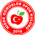 Niğde Gümüşlerspor