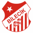 Bilecik 1969