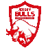 Jersey Bulls