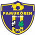 Pamukörenspor