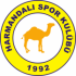 Harmandalıspor