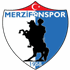 Merzifonspor