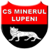 Minerul Lupeni