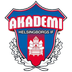 Akademi HIF