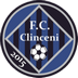 FC Clinceni