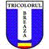 Tricolorul Breaza