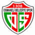 Osmanelispor