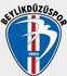 Beylikdüzüspor